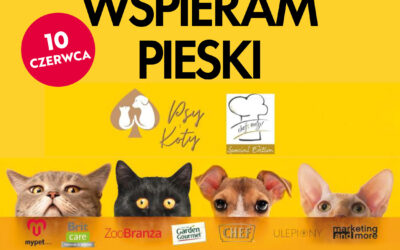 Charytatywny piknik Psy i Koty z Szydłowca
